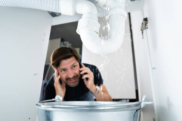 Best Sprinkler Systems  in Wailuku, HI