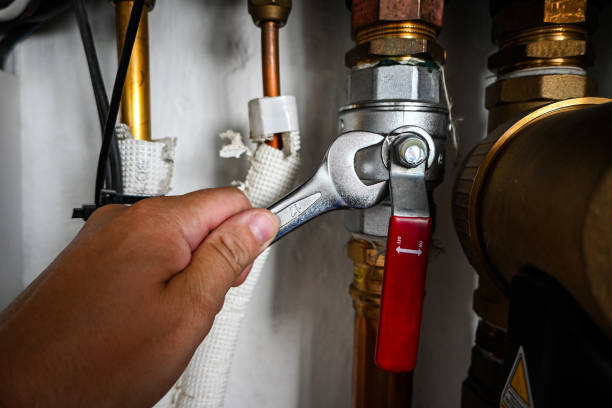 Best Toilet Repair Services  in Wailuku, HI